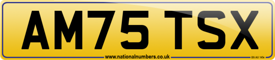 AM75 TSX