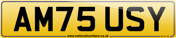 AM75 USY