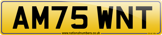 AM75 WNT