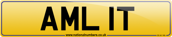 AML 1T