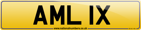 AML 1X