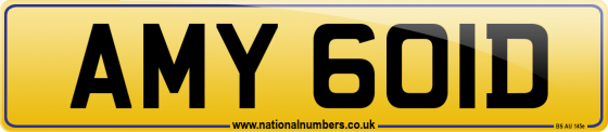AMY 601D