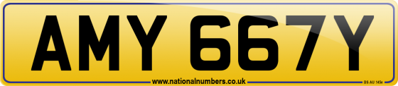 AMY 667Y