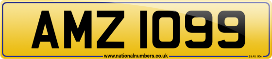 AMZ 1099