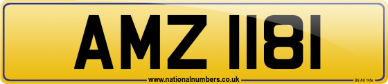 AMZ 1181