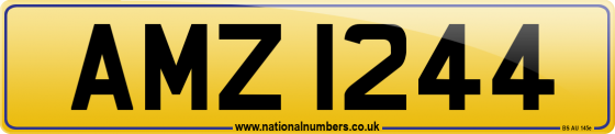 AMZ 1244