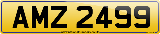 AMZ 2499