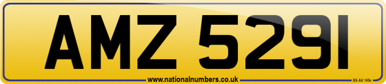AMZ 5291