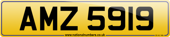 AMZ 5919