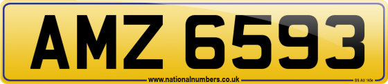 AMZ 6593