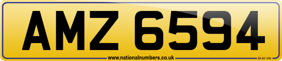 AMZ 6594