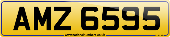 AMZ 6595