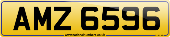 AMZ 6596
