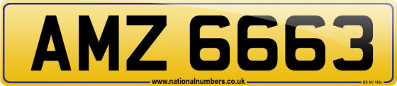 AMZ 6663