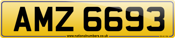 AMZ 6693