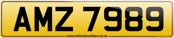 AMZ 7989
