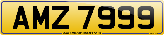 AMZ 7999