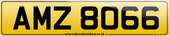 AMZ 8066