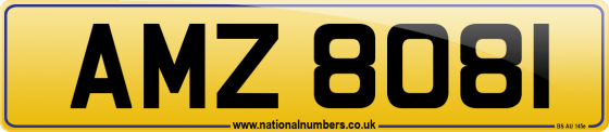 AMZ 8081