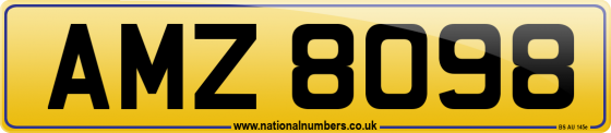AMZ 8098