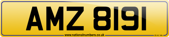 AMZ 8191