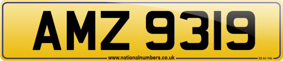 AMZ 9319