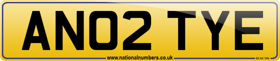 AN02 TYE