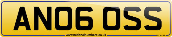 AN06 OSS