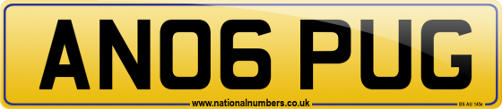 AN06 PUG