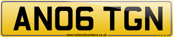 AN06 TGN
