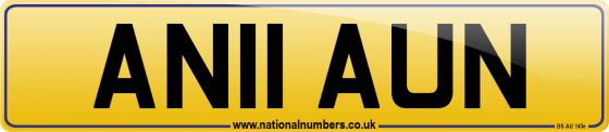 AN11 AUN