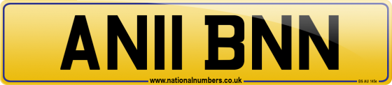 AN11 BNN