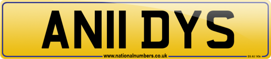 AN11 DYS
