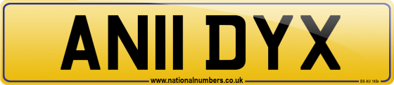 AN11 DYX