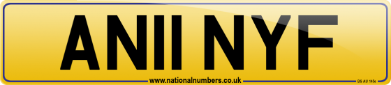 AN11 NYF
