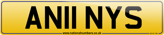 AN11 NYS