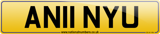AN11 NYU