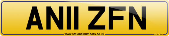 AN11 ZFN