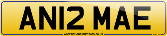 AN12 MAE