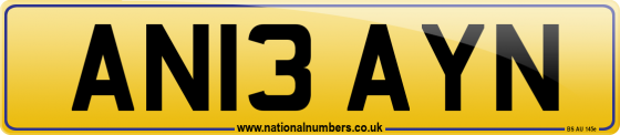 AN13 AYN