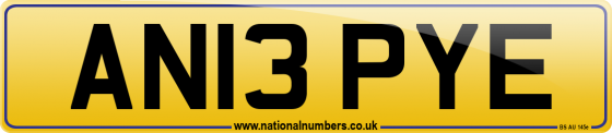 AN13 PYE