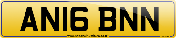 AN16 BNN