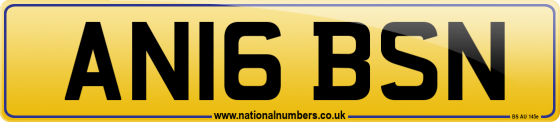 AN16 BSN