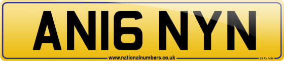 AN16 NYN