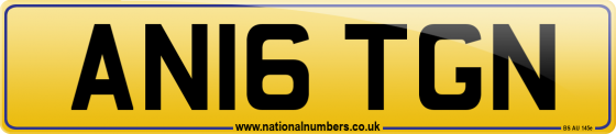 AN16 TGN
