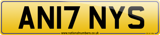 AN17 NYS