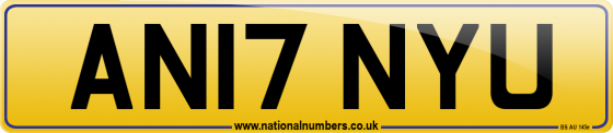 AN17 NYU