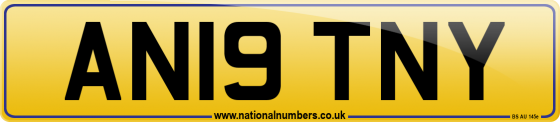 AN19 TNY