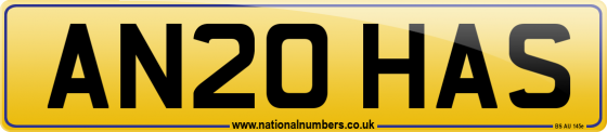 AN20 HAS