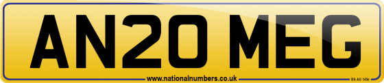 AN20 MEG